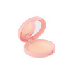 ศรีจันทร์ เอ็นชานเท็ด เพอร์เฟคท์ ฟาวน์เดชั่น พาวเดอร์  SPF35 PA++++ 4.5กรัม 110 วานิลลา