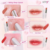 Ashley ลิปสติก Melting Plump Lipstick 3.1 กรัม