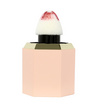 Ashley บลัชออน Liquid Blush 5.5 กรัม