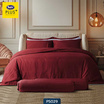 Satin Plus ชุดผ้าปู+นวม ลาย PS029
