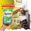 เทมเทชั่นส์ ขนมแมว กรอบนอกนุ่มใน สูตรแมวโต รสเทสตี้ไก่ 75 ก.