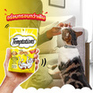 เทมเทชั่นส์ ขนมแมว กรอบนอกนุ่มใน สูตรแมวโต รสเทสตี้ไก่ 75 ก.