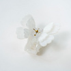 TITANIA Hair Clip กิ๊บหนีบผม สี Butterfly White Glow