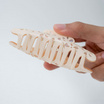 TITANIA Hair Clip กิ๊บหนีบผม สี Ivory Bloom