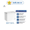 Worldtech ตู้แช่แข็ง 299 ลิตร รุ่น WT-FZ300_WHT