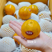 อิมพีเรียล ฟรุตเทีย ส้มจักรพรรดิ Extra Sweet ไซซ์ 1 กล่อง 5 กก. (7-10 ผล/กก.)