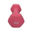 GS ดัมเบลเหล็ก หุ้มยางนีโอพรีน 2kg สีชมพู