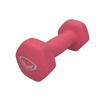 GS ดัมเบลเหล็ก หุ้มยางนีโอพรีน 2kg สีชมพู