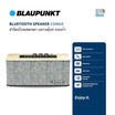 BLAUPUNKT ลำโพงบลูทูธพกพา CONGA