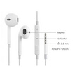 Hoco Earbuds Headphone รุ่น M4 Pro