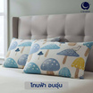 Charm หมอนหนุนเเพ็คคู่ Mushy Dream 17x27 นิ้ว