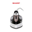 Sharp เตารีดไอน้ำ รุ่น EI-S302