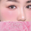 Odbo บลัชออน Iconic Powder Blush OD1325 4.2 กรัม