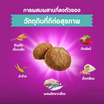 วิสกัส อาหารแมว ชนิดเม็ด สูตรแมวโต เลี้ยงในบ้าน 1.1 กก.
