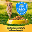 เพดดิกรี อาหารสุนัข ชนิดเม็ด สูตรสุนัขโต รสไก่และผัก 20 กก.