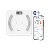 ALLWELL เครื่องชั่งน้ำหนักวัดไขมันและดัชนีมวลกาย เชื่อมแอพได้ รุ่น BodyA-X Fit สีขาว