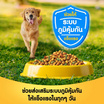 เพดดิกรี อาหารสุนัข ชนิดเม็ด สูตรสุนัขโต รสไก่และผัก 3 กก.
