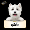 ซีซาร์ อาหารสุนัข ชนิดเปียก สูตรสุนัขโต รสเนื้อพร้อมผักในน้ำเกรวี่ 70 ก.