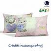Charm หมอนหนุุนเเพ็คคู่ Catty Picnic ขนาด 17 x 27 นิ้ว