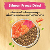 กินโนะ แคท กรูเมต์ อาหารเม็ดผสมฟรีซดราย เนื้อปลาแซลมอน 1 กก.