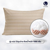 CHARM หมอนหนุน Sweet dream ลายริ้ว 19x29นิ้ว