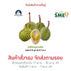 สวนจันทวิสูตร ทุเรียนมูซานคิง 5-8 ลูก (6.5-7 กก.)
