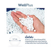 WellPlus Bean Bag บีนแบคลายตาราง หุ้มผ้าแคนวาส เม็ดโฟมพรีเมียม