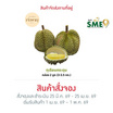 สวนเจ้าพายุ ทุเรียนกระดุม กล่อง 2 ลูก (3 - 3.5 กก.)