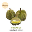 สวนเจ้าพายุ ทุเรียนกระดุม กล่อง 2 ลูก (3 - 3.5 กก.)