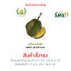 สวนเจริญทรัพย์ ทุเรียนนกหยิบ กล่อง 1 ลูก (2.6-3.0 กก.)