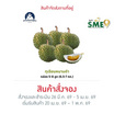 สวนจันทวิสูตร ทุเรียนหนามดำ กล่อง 5-8 ลูก (6.5-7 กก.)