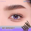 Cosluxe ดินสอเขียนคิ้ว Browsup Gel Eyebrows Pencil 0.1 กรัม