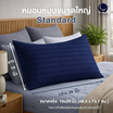 CHARM หมอนหนุน Sweet dream ลายริ้ว 19x29นิ้ว
