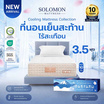 SOLOMON ที่นอนเย็น พ็อกเก็ตสปริง 10นิ้ว รุ่น Maetaru