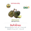 น้องคิม ทุเรียนหมอนทอง 2 ลูก (2.7-3 กก.)