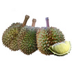 น้องคิม ทุเรียนหมอนทอง 3 ลูก (4.7-5 กก.)