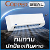 CARRIER แอร์ติดผนัง INVERTER 9200 BTU รุ่น copper ION 42TVDB010/38TVDB010(C)