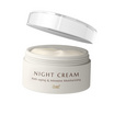 AMT Skincare ครีมบำรุงผิวหน้า Anti aging and Intensive Moisturizing Night Cream 30 กรัม