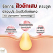 AMT Skincare เจลแต้มสิว Liposome Acne Spot Serum 7มล.