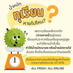 สวนเจ้าพายุ ทุเรียนหมอนทอง 1 ลูก (1.2-1.5 กก.)