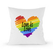 หมอนอิง Love is Love ขนาด 16 x 16 นิ้ว