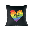 หมอนอิง Love is Love ขนาด 16 x 16 นิ้ว