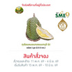 สวนยายละมัย ทุเรียนหมอนทอง GI จ. นนทบุรี กล่อง 1 ลูก (2.5-3 กก.)