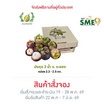 สวนเจริญทรัพย์ มังคุด 3 น้ำ ระยอง คละไซซ์ กล่อง 2.3-2.5 กิโลกรัม