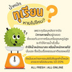 สวนเจริญทรัพย์ ทุเรียนก้านยาวระยอง GI (2.8-3.2 กก.) กล่อง 1 ลูก