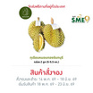 สวนลูกสาวกำนัน ทุเรียนหมอนทองจันบุทรี 2 ลูก (5-5.5 กก.)