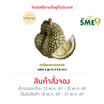 สวนเจ้าพายุ ทุเรียนหมอนทอง กล่อง 1 ลูก (1.3-1.6 กก.)