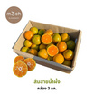 สวนร่มเกล้า ส้มสายน้ำผึ้ง คละไซซ์ No.84/72 ขนาด 3 กก. (กล่อง 21–24 ลูก)