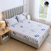 Charm ผ้าปูไม่รวมนวม Blue Whale 6ft 3pcs