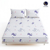 Charm ผ้าปูไม่รวมนวม Blue Whale 6ft 3pcs